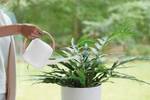 b.for soft watering can 1,7ltr white